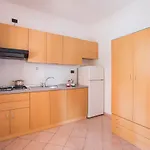 One Lupetto